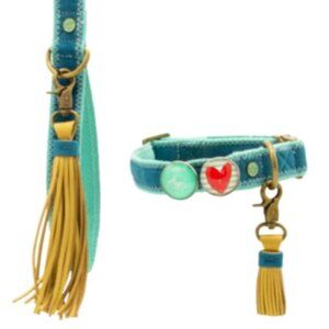 Pet Gift Set: Collar and Leash with Decorative Buttons + Tassel